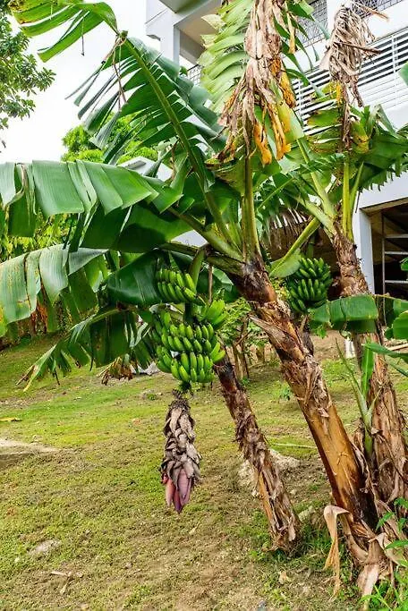 Villa Enjoy Rare Huge Pool 4Br Perfect For Families! à Aguada Hébergement de vacances